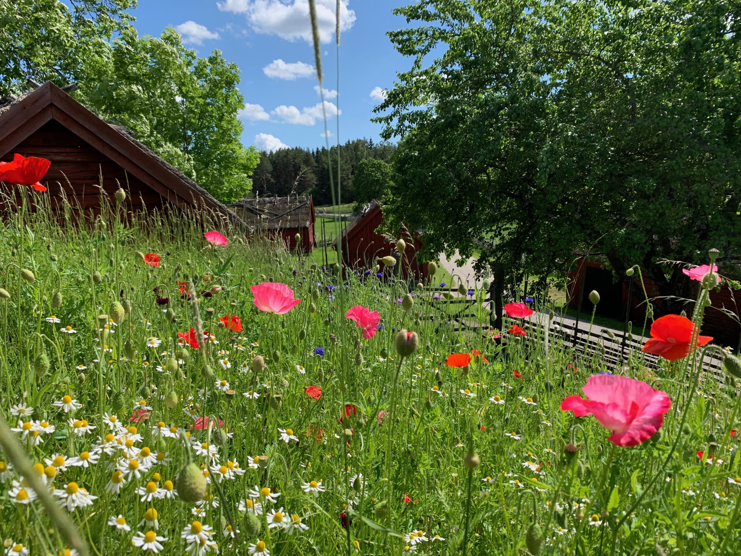 På cykel till Viby by och Venngarn slott